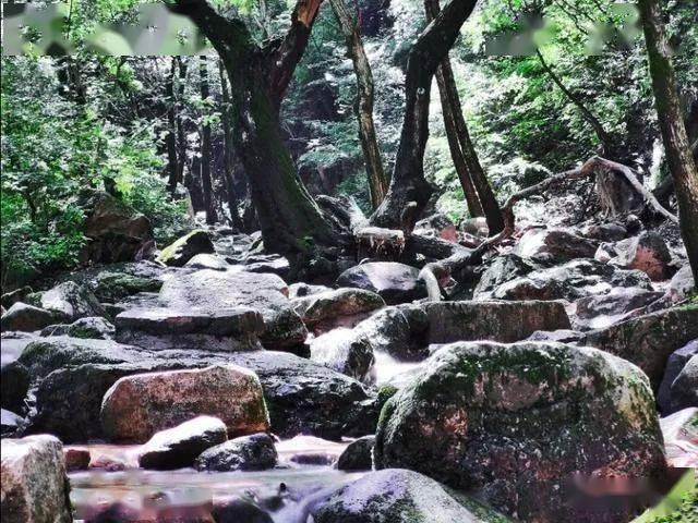 打呀么打飞机